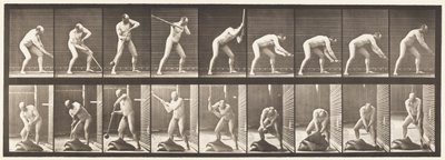 Tavola 396. Battere con un martello da Eadweard Muybridge