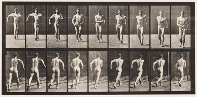 Piastra 3. Camminare da Eadweard Muybridge