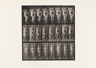 Trasportare mattoni su una scala da Eadweard Muybridge