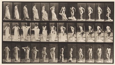 Tavola 431. Toilette; togliersi i vestiti da Eadweard Muybridge