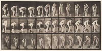 Strizzare i vestiti (tavola 433) da Eadweard Muybridge