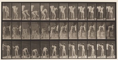 Tavola 434. Appendere i vestiti sulla linea, 1872-1885 da Eadweard Muybridge