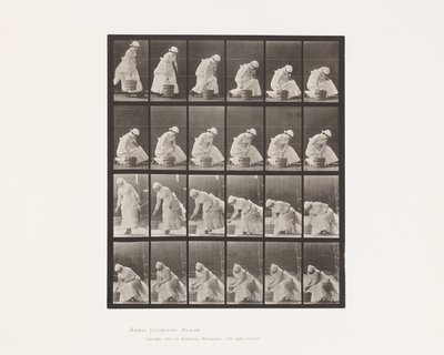 Posare un secchio e prepararsi a strofinare da Eadweard Muybridge