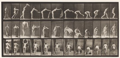 Stendere un Tappeto sul Pavimento, 1872-1885 da Eadweard Muybridge