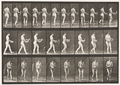 Camminare, spruzzare acqua da una bacinella, girarsi (tavola 43) da Eadweard Muybridge