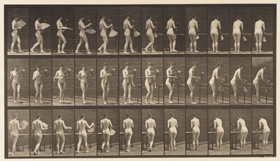 Tavola 441. Portare il vaso e posizionarlo sul tavolo, 1872-1885 da Eadweard Muybridge