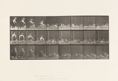 Tavola 455. Gettarsi su un mucchio di fieno da Eadweard Muybridge