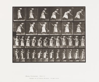 Rastrellare il fieno da Eadweard Muybridge
