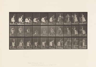 Tavola 458. Sollevare manciate di fieno, girare, gettarlo giù da Eadweard Muybridge