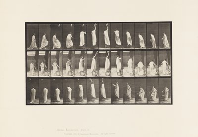 Tavola 459. Salire su una sedia, allungarsi e scendere, 1885 da Eadweard Muybridge