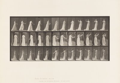 Tavola 462. Versare una libazione a terra, bere da un calice, 1885 da Eadweard Muybridge