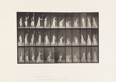 Raggiungere in alto, chinarsi e girarsi da Eadweard Muybridge