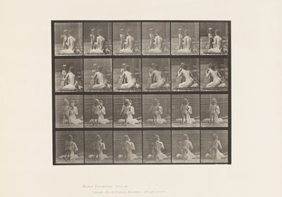 Tavola 466. Due modelli, bambino 70N, portare un bouquet a 12, 1885 da Eadweard Muybridge