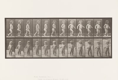 Piatto 468. Bambino che cammina da Eadweard Muybridge