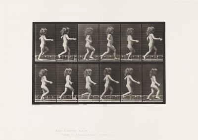 Tavola 469. Bambino, correre, 1885 da Eadweard Muybridge