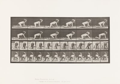 Tavola 471. Bambino, gattonare sulle mani e sulle ginocchia, 1885 da Eadweard Muybridge