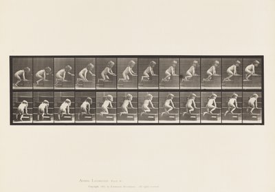 Tavola 472. Bambino che striscia su per le scale, 1885 (collotipia su carta) da Eadweard Muybridge