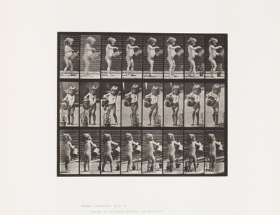 Bambino, spruzzare acqua sui fiori da Eadweard Muybridge