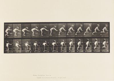 Tavola 480. Bambino, camminare e gattonare su per le scale da Eadweard Muybridge