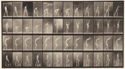 Tavola 488. A, Tennis su prato; B, Pesi; C, Camminare sulle mani, 1872-1885 da Eadweard Muybridge