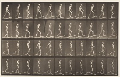 Tavola 489. A, Salita inclinata, 1872-1885 da Eadweard Muybridge