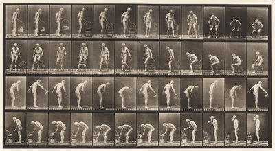 Tavola 490. A, sedersi; B, sedersi; C, spruzzare acqua da Eadweard Muybridge