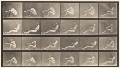 Tavola 492. A da Eadweard Muybridge