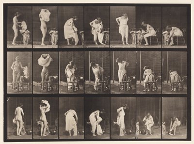 Piatto 493. Fasi varie della toilette, 1872-1885 da Eadweard Muybridge