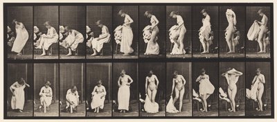 Piatto 498. Fasi varie della toilette, 1872-1885 da Eadweard Muybridge