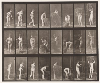 Rastrellare e imballare il fieno da Eadweard Muybridge