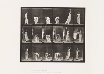 Tavola 503. Varie - Chinarsi, ecc. da Eadweard Muybridge