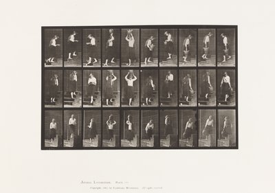 Tavola 504. Salire e scendere le scale da Eadweard Muybridge