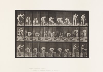 Posa mattoni da Eadweard Muybridge