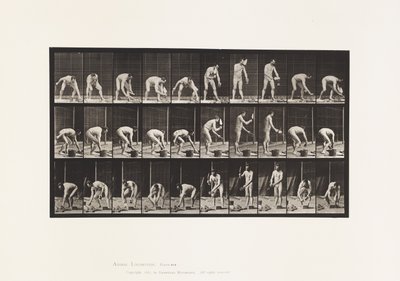 Posare mattoni (tavola 506) da Eadweard Muybridge