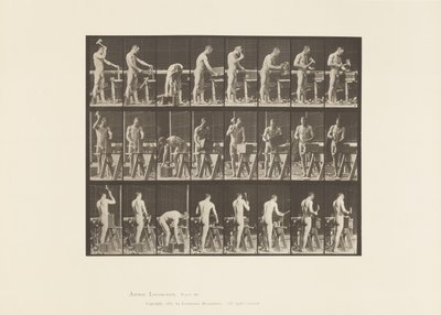 Tavola 507. Carpenteria da Eadweard Muybridge