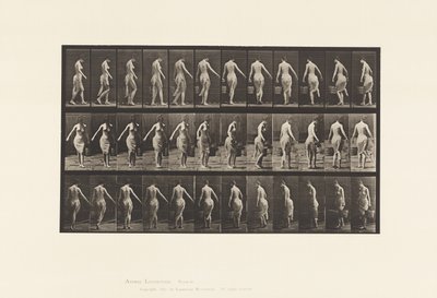Piastra 50. Camminare, portare un secchio da Eadweard Muybridge
