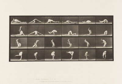 Contorsioni a Terra, 1872-1885 da Eadweard Muybridge