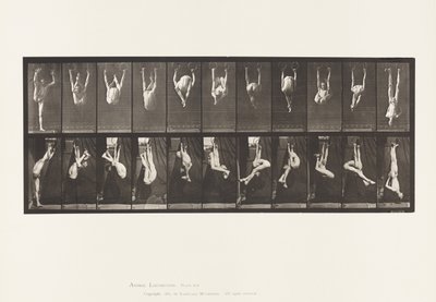 Contorsioni sugli anelli da Eadweard Muybridge