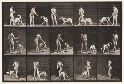 Piastra 514. Nutrire un cane da Eadweard Muybridge