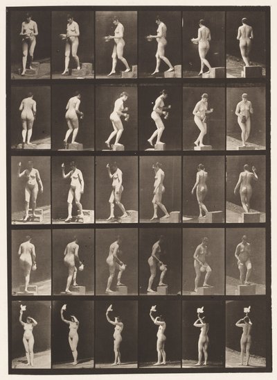 A, Scendere un gradino; B, Salire un gradino da Eadweard Muybridge