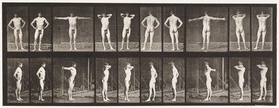 Tavola 529. Varie pose da Eadweard Muybridge