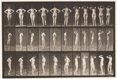 Tavola 531. Varie pose da Eadweard Muybridge