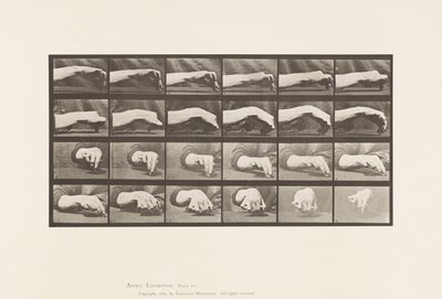 Movimento della Mano; Disegnare un Cerchio, 1885 da Eadweard Muybridge