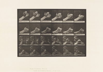 Movimento della Mano; Stringere le Mani, 1885 da Eadweard Muybridge