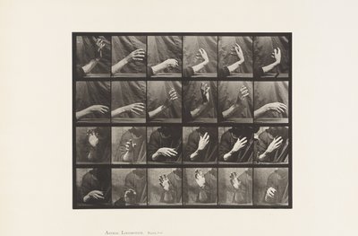 Movimento della mano; battere il tempo da Eadweard Muybridge
