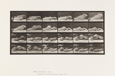Tavola 536. Movimento della Mano; Mani che Cambiano Matita da Eadweard Muybridge