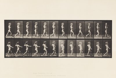 A, Gambe arcuate; Ragazzo; B, Carie spinale; Ragazza che cammina da Eadweard Muybridge
