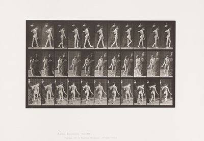 Tavola 541. Sclerosi Cerebro-Spinale Multipla (Coreica); Camminata da Eadweard Muybridge