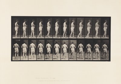 Tavola 542. Sclerosi Cerebro-Spinale Multipla - Camminando da Eadweard Muybridge