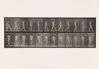 Atassia locomotoria; camminare da Eadweard Muybridge